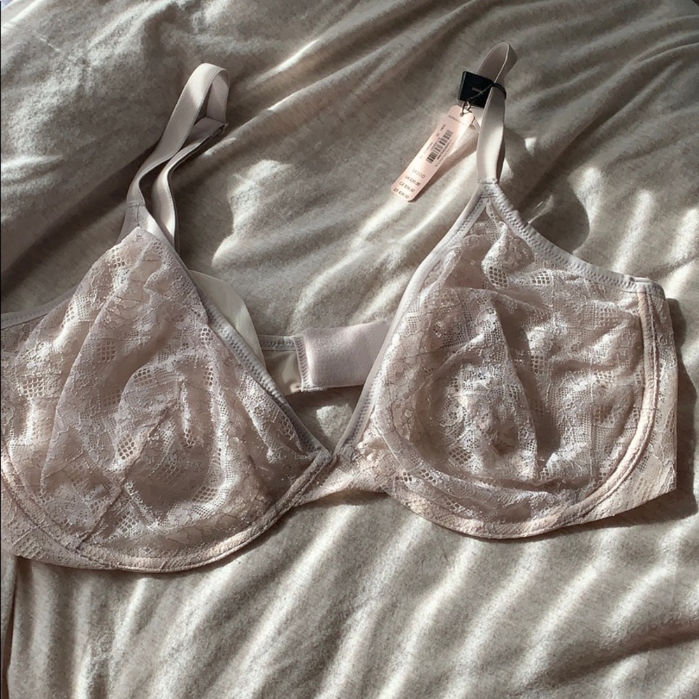 Sheer Lace Body by Victoria 38DDD Bra NWT